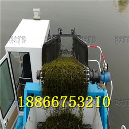 嘉興海鹽水草收割機(jī)治理污染河道打撈水葫蘆