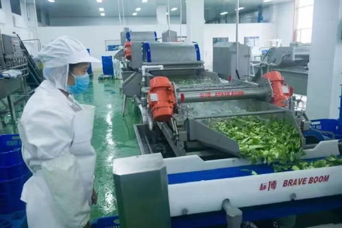 平房區全力保障開學季食品安全