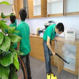 灤南除甲醛 大森環保 怎樣除甲醛